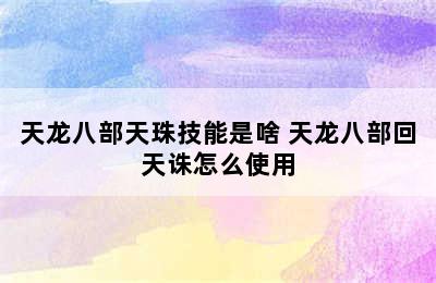 天龙八部天珠技能是啥 天龙八部回天诛怎么使用